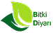 Bitki Diyarı Salep