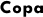 Copa Çöp Öğütücü
