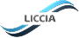 Liccia Ayakkabılık