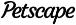 Petscape Kedi Tuvalet Paspası