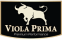 Viola Prima Epoksi Boya