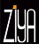 Ziya Çizme