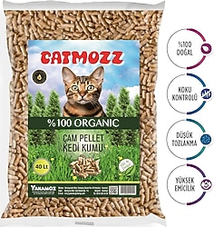 Catmozz Kedi Kumu