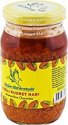Doğan Baharat Bitkisel Macun