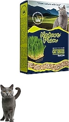 Nature Plan Kedi Çimi