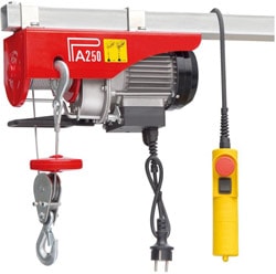 Gordonx G2V0250 250 kg Elektrikli Vinç
