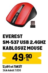 Everest SM-537 Kablosuz Optik Mouse