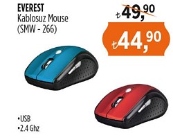 Everest Kablosuz Mouse SMW - 266