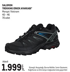 Salomon Trekking Erkek Ayakkabı 