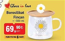 Glass in Love Borosilikat Fincan 300 ml