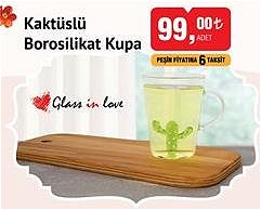 Glass in Love Kaktüslü Borosilikat Kupa
