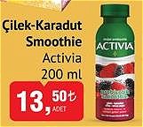 Activia Çilek-Karadut Smoohie 200 ml