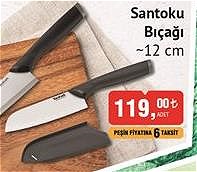 Tefal Santoku Bıçağı 12 cm