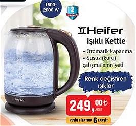 heifer cam kettle bim