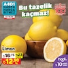 A101 5 Ocak 2024 Kataloğu Limon Kg