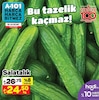 A101 12 Ocak 2024 Kataloğu Salatalık kg