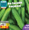 A101 17 Şubat 2024 Kataloğu Salatalık kg