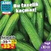 A101 1 Mart 2024 Kataloğu Salatalık kg