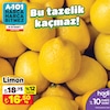A101 8 Mart 2024 Kataloğu Limon kg