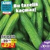 A101 8 Mart 2024 Kataloğu Salatalık kg