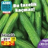 A101 15 Mart 2024 Kataloğu Salatalık kg