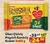 A101 23 Mart 2024 Kataloğu Ülker Çiziviç Peynirli 82 gr 3'lü Paket Kraker