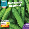 A101 5 Nisan 2024 Kataloğu Salatalık Kg