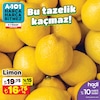 A101 5 Nisan 2024 Kataloğu Limon Kg