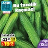 A101 19 Nisan 2024 Kataloğu Salatalık Kg