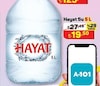 A101 27 Nisan 2024 Kataloğu Hayat 5 lt Su