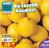 A101 17 Mayıs 2024 Kataloğu Limon kg 