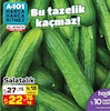 A101 24 Mayıs 2024 Kataloğu Salatalık Kg