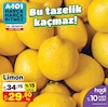 A101 24 Mayıs 2024 Kataloğu Limon Kg