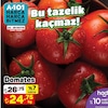 A101 24 Mayıs 2024 Kataloğu Domates Kg