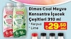 A101 20 Haziran 2024 Kataloğu Dimes Cool Karpuz Mix 310 ml