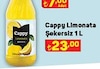 A101 20 Haziran 2024 Kataloğu Cappy Şekersiz Limonata 1 lt
