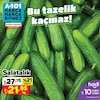 A101 15 Haziran 2024 Kataloğu Salatalık Kg