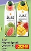 A101 4 Temmuz 2024 Kataloğu Juss Mango Aromalı 1 lt Meyve Suyu