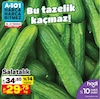 A101 19 Temmuz 2024 Kataloğu Salatalık kg 