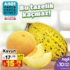 A101 19 Temmuz 2024 Kataloğu Kavun kg 