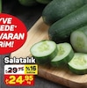 A101 1 Ağustos 2024 Kataloğu Salatalık Kg