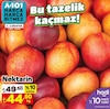 A101 2 Ağustos 2024 Kataloğu Nektarin kg