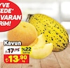 A101 8 Ağustos 2024 Kataloğu Kavun kg 