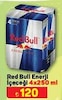 A101 15 Ağustos 2024 Kataloğu Red Bull Enerji İçeceği 250 ml 4'lü
