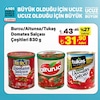 A101 17 Ağustos 2024 Kataloğu Burcu Domates Salçası 830 gr