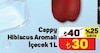 A101 24 Ağustos 2024 Kataloğu Cappy Hibiscus Aromalı İçecek 1 lt