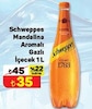A101 31 Ağustos 2024 Kataloğu Schweppes Mandalina 1 lt