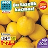 A101 13 Eylül 2024 Kataloğu Limon kg 