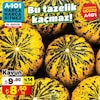 A101 13 Eylül 2024 Kataloğu Kavun kg 