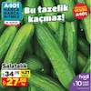 A101 20 Eylül 2024 Kataloğu Salatalık kg 
